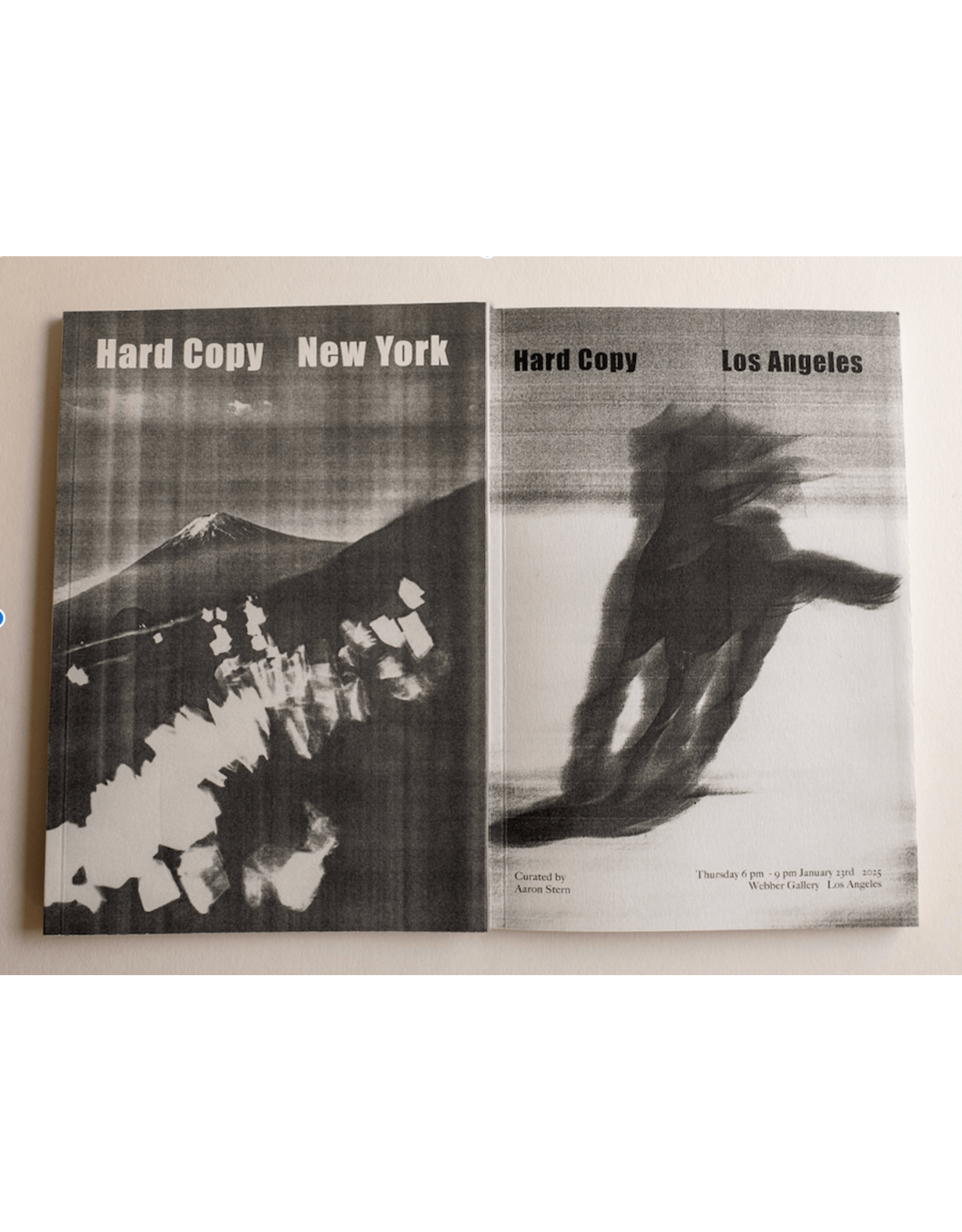 Hard Copy - New York book