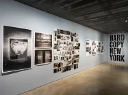 Image: Jenna Bascom for ICP