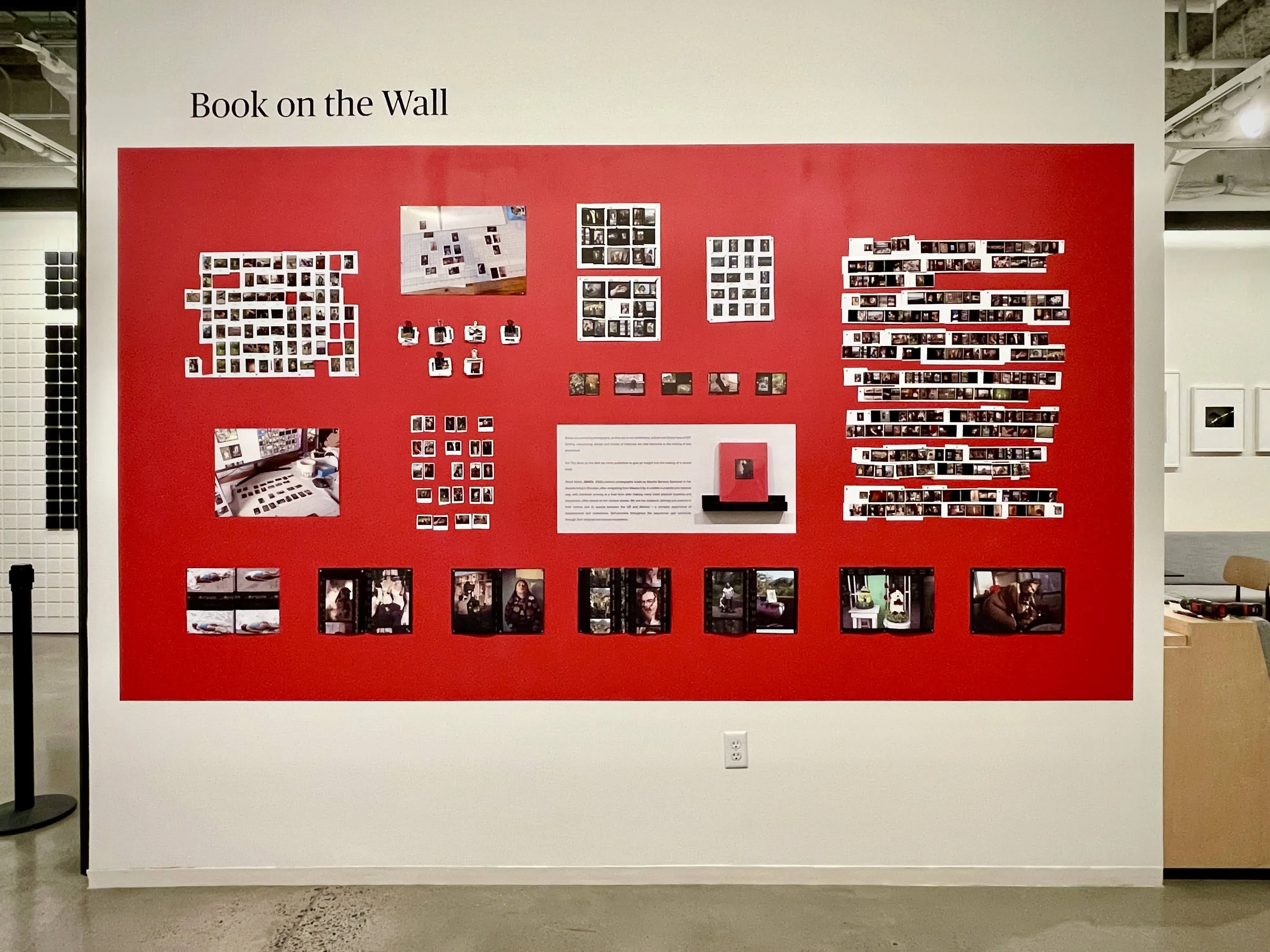 Image Credits: Martha Naranjo Sandoval